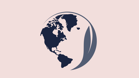 7 Sustainable Living Tips to Build a Better World