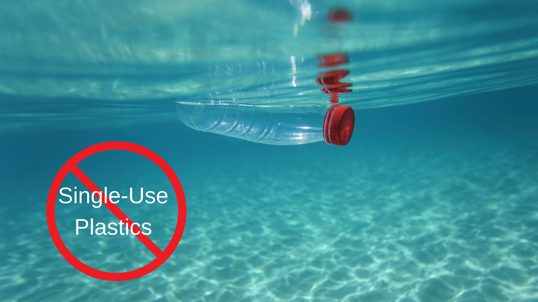 Why to stop using single-use plastics?