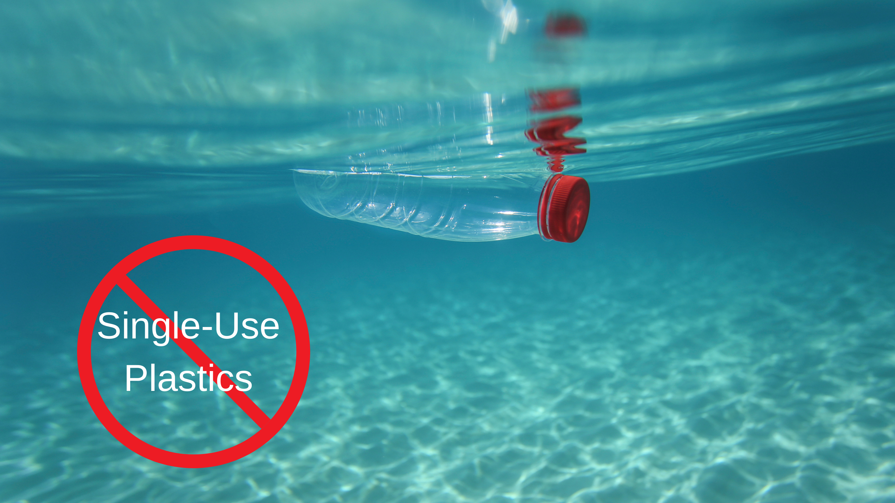 Why to stop using single-use plastics?
