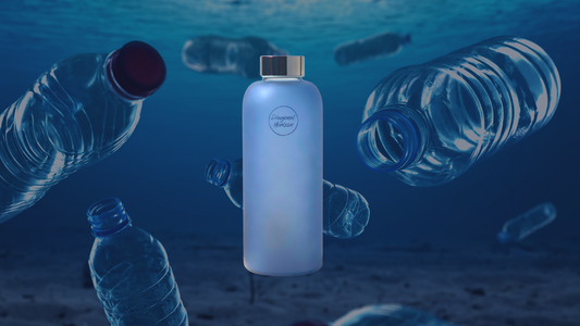 Are Glass Water Bottles Better Than Plastic?