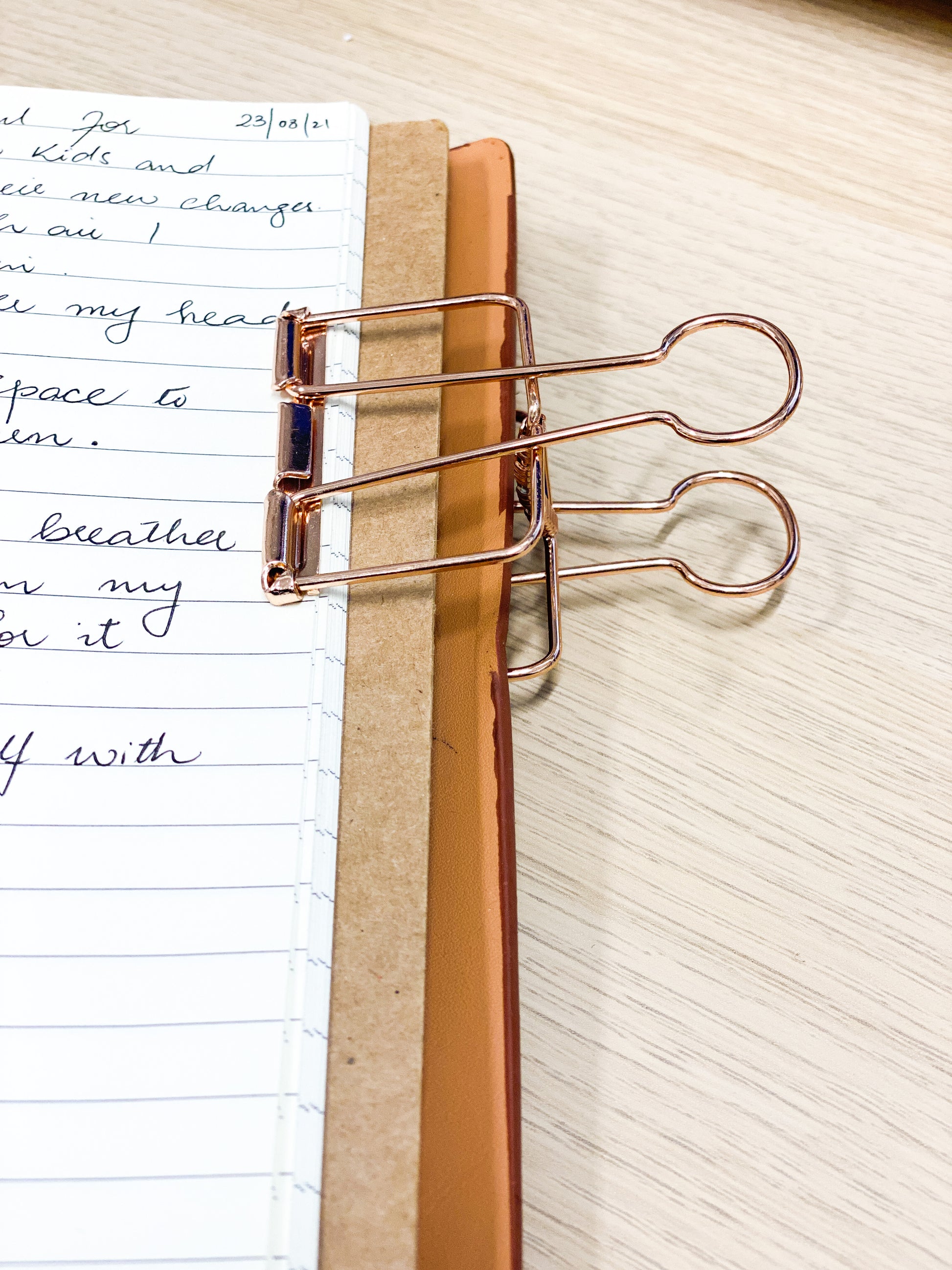 Diagonal Horizon Rosegold Bulldog Clip - [collection_type]
