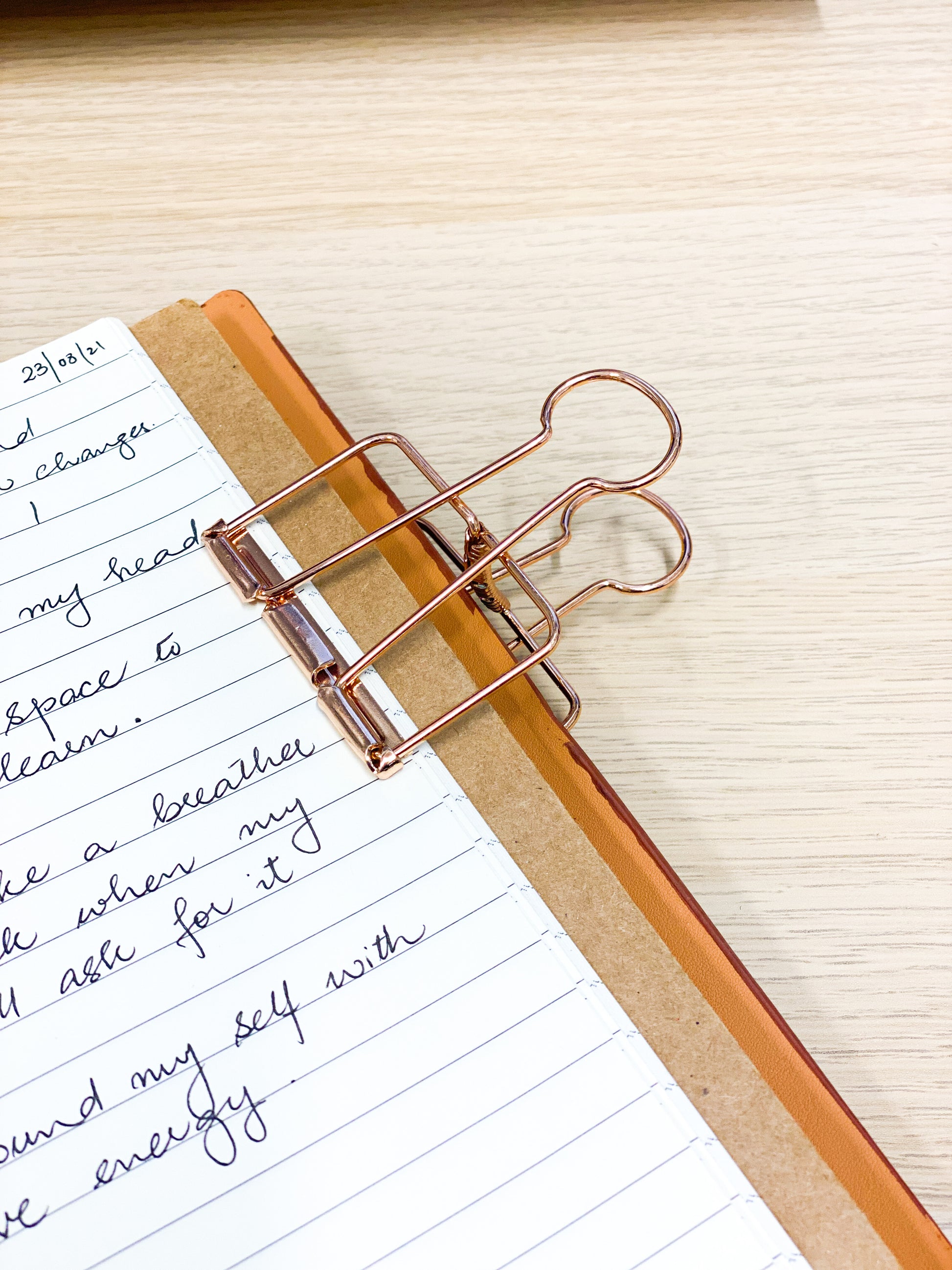 Diagonal Horizon Rosegold Bulldog Clip - [collection_type]