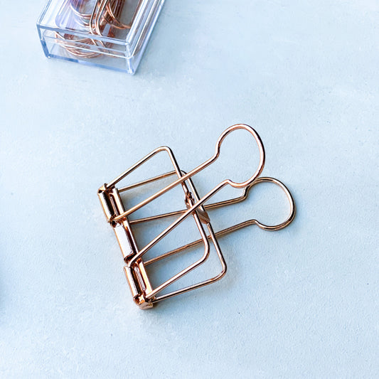 Diagonal Horizon Rosegold Bulldog Clip - [collection_type]